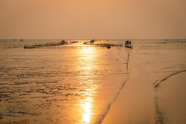 Uncover Top Spots for Genuine British Baking Classes: Your Ultimate Guide!