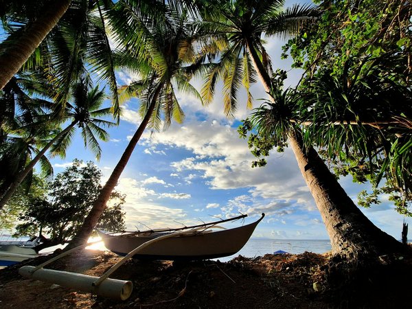 Discover Your Perfect Norfolk Escape: Enjoy Exclusive Windmill Tour Access!